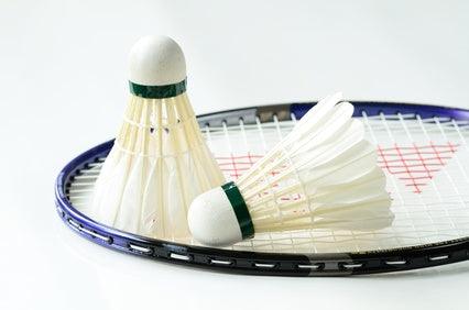 Badminto Equipment - Racquet Point